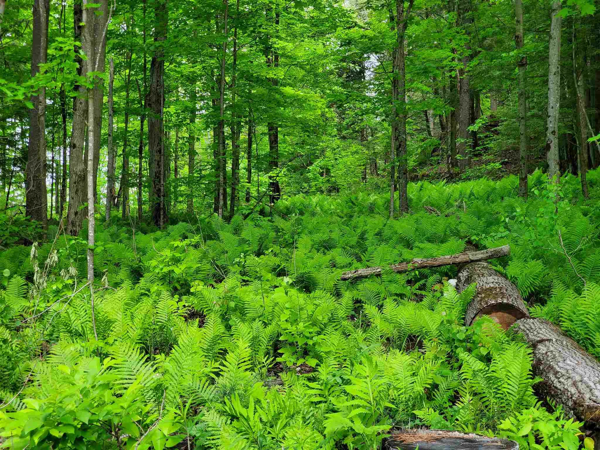 00 River Road Troy VT 05859
