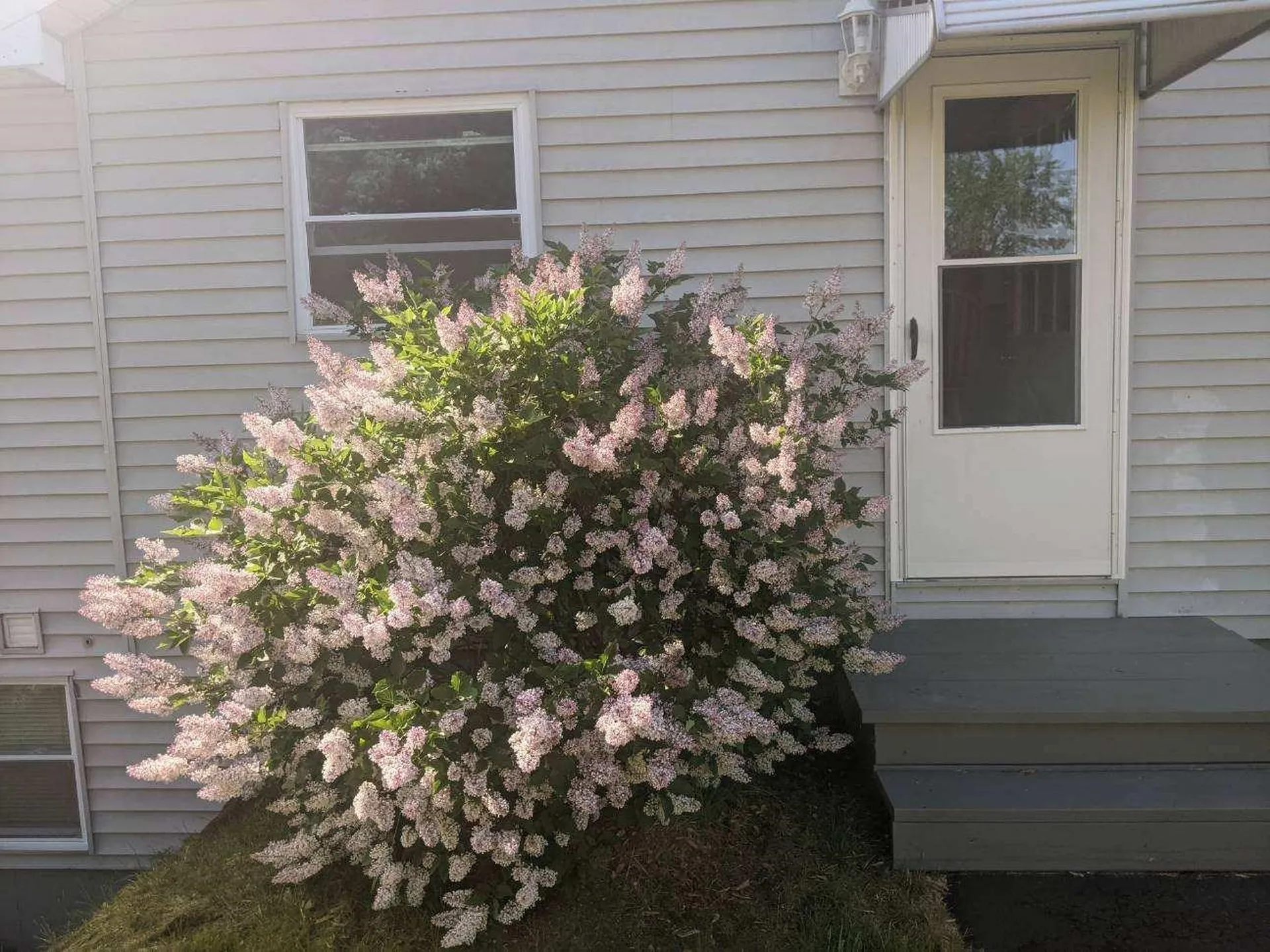 8 Charbonneau Street Hudson NH 03051