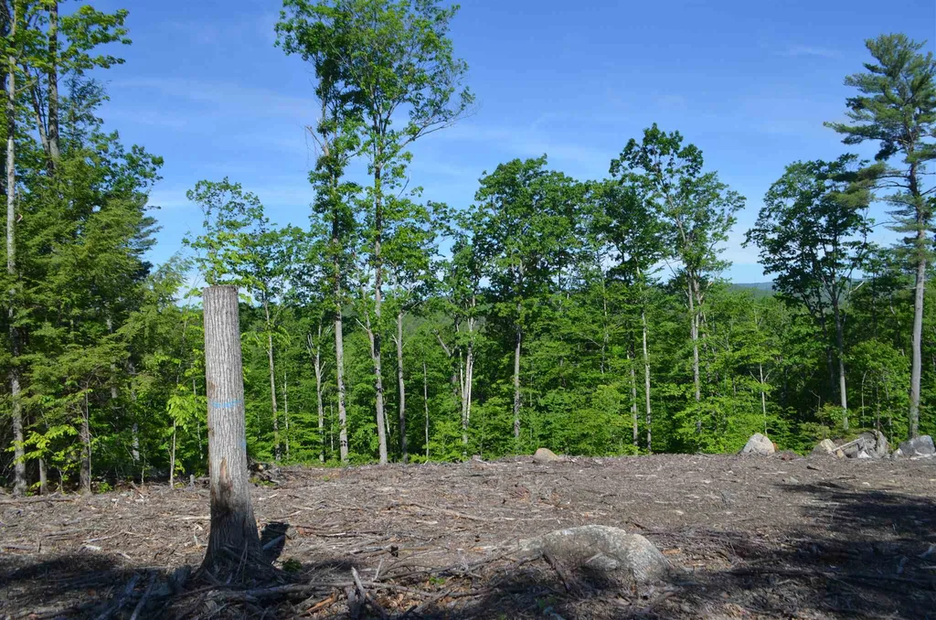 1493 Western Avenue Henniker NH 03242