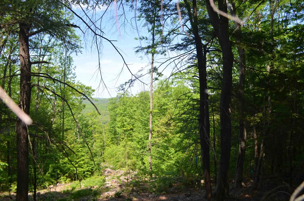1493 Western Avenue Henniker NH 03242