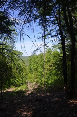 1493 Western Avenue Henniker NH 03242