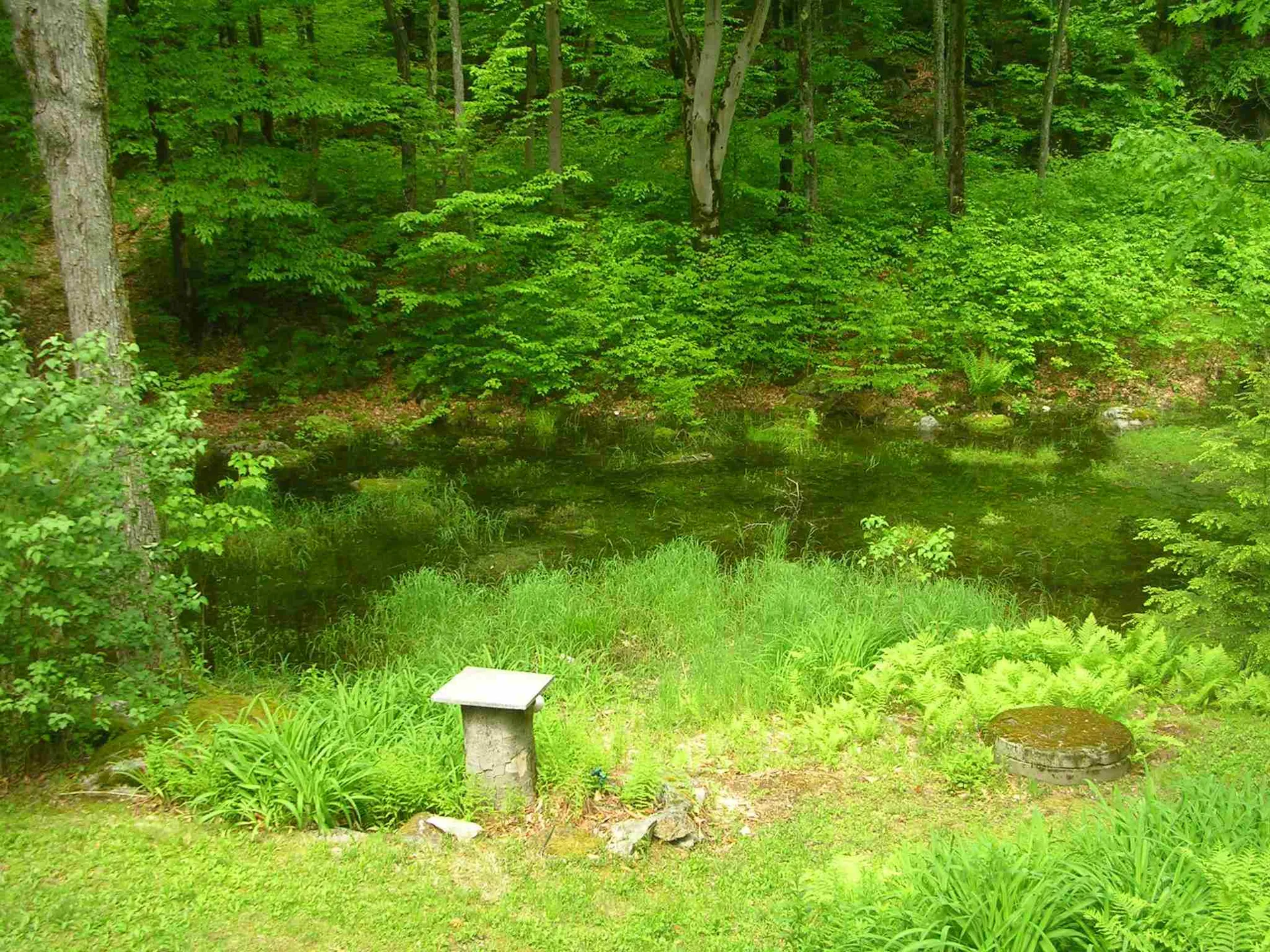 121 Dean Farm Road Jaffrey NH 03452
