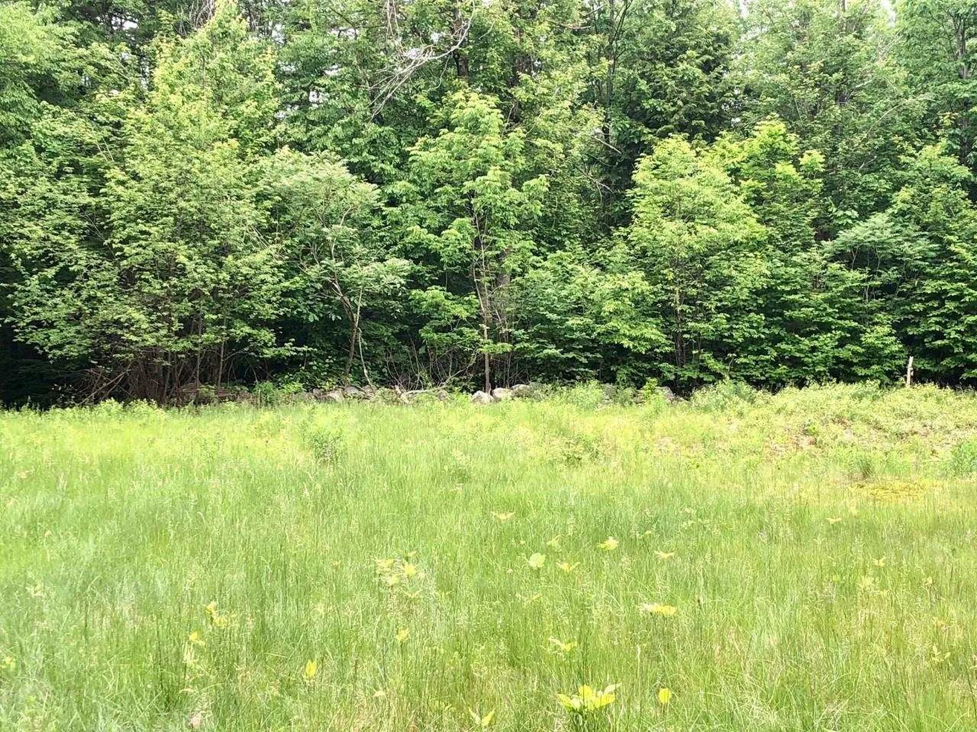 17 Old Temple Road Lyndeborough NH 03082