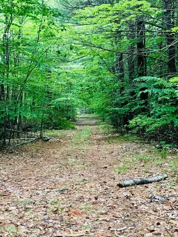 17 Old Temple Road Lyndeborough NH 03082