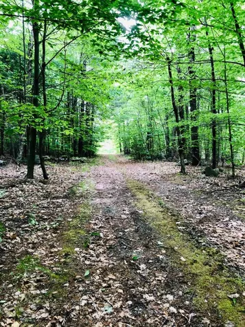 17 Old Temple Road Lyndeborough NH 03082