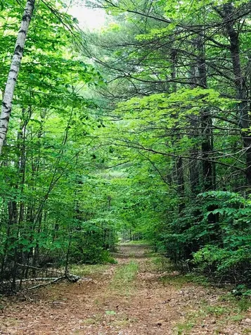 17 Old Temple Road Lyndeborough NH 03082