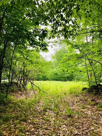 17 Old Temple Road Lyndeborough NH 03082