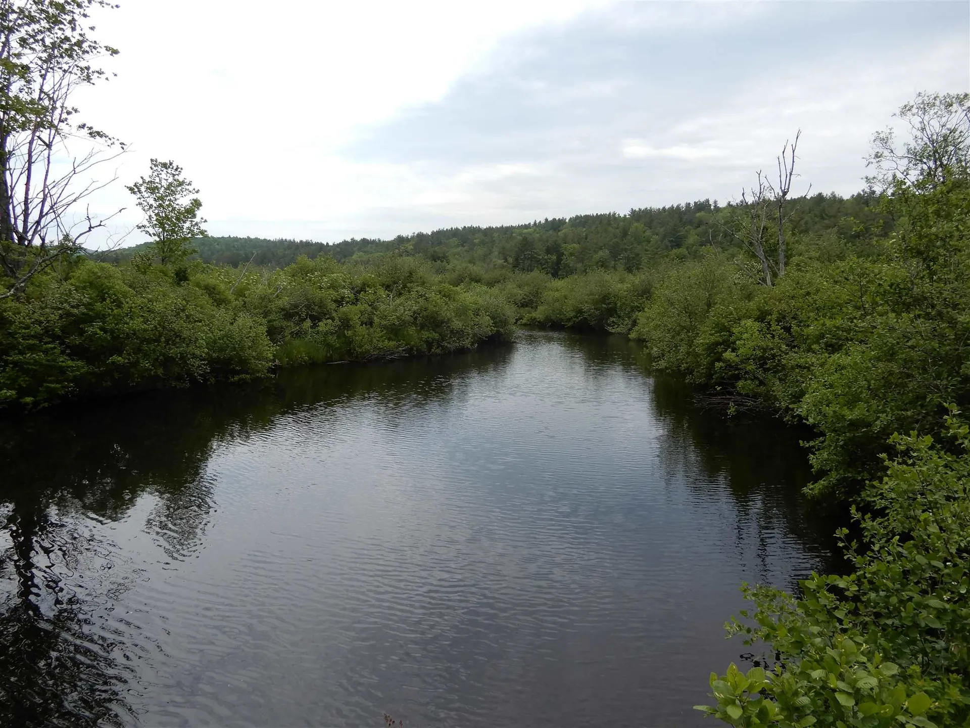 Riddle Hill Road Grafton NH 03240
