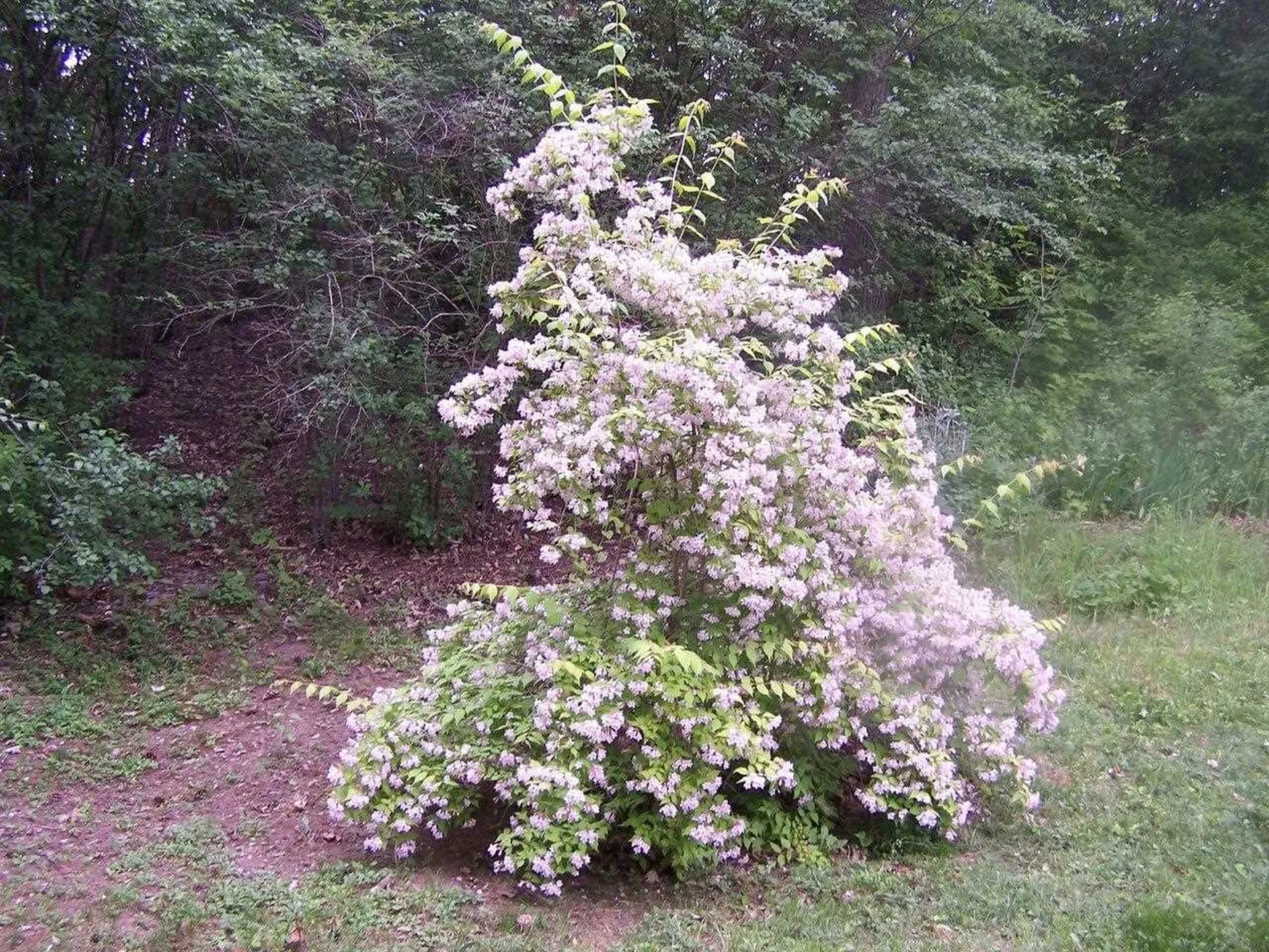32 Booth Woods Vergennes VT 05491