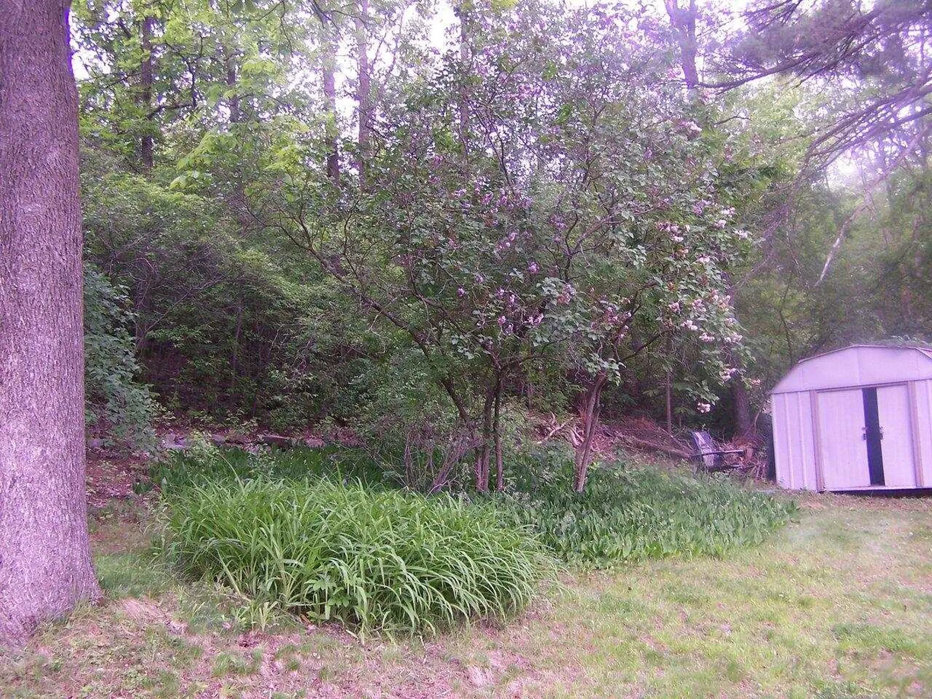 32 Booth Woods Vergennes VT 05491