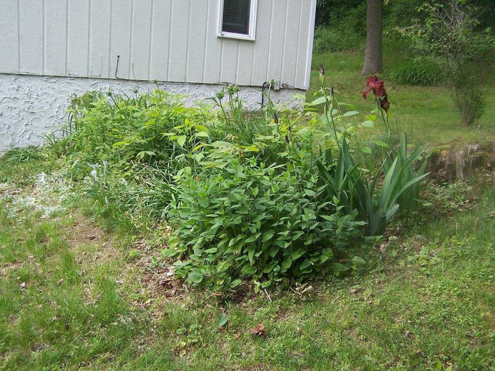 32 Booth Woods Vergennes VT 05491