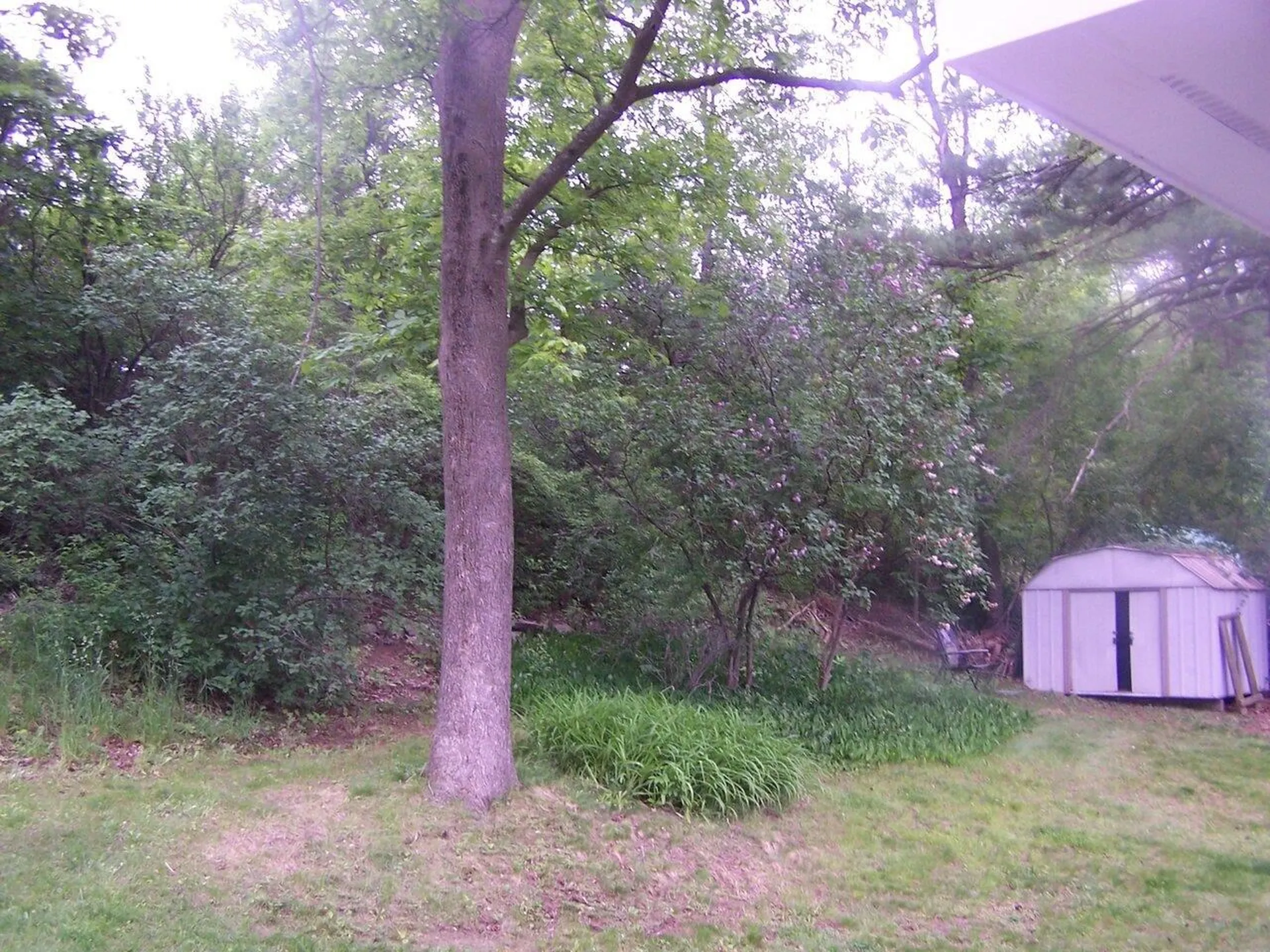 32 Booth Woods Vergennes VT 05491