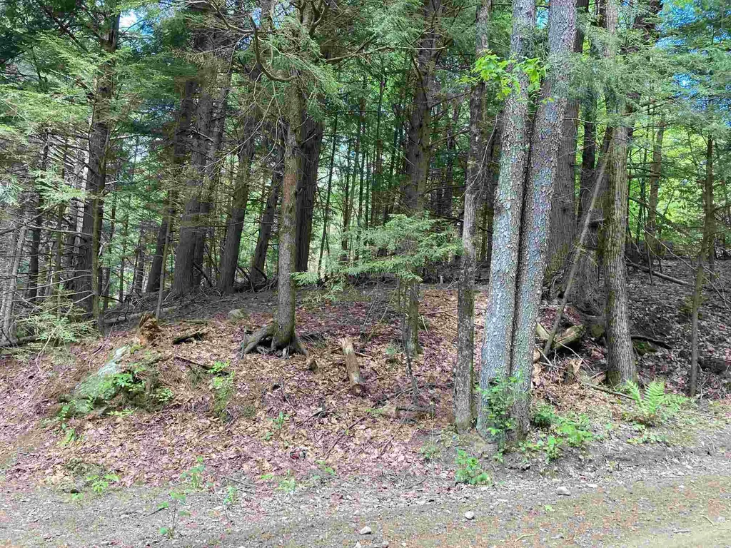 South Road Canaan NH 03741