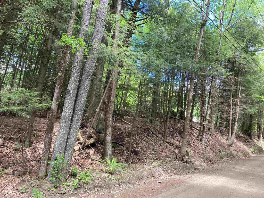 South Road Canaan NH 03741