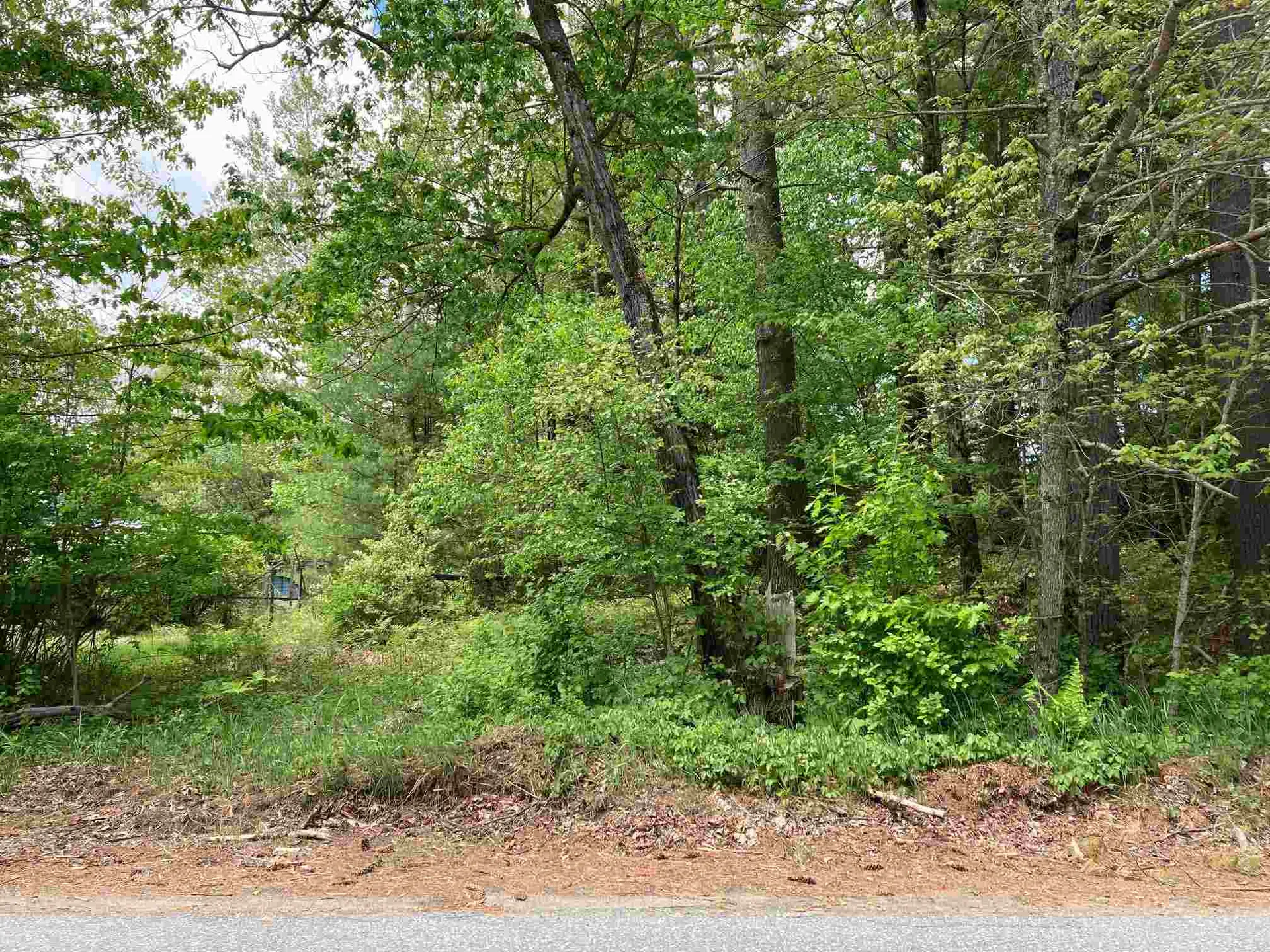 South Road Canaan NH 03741