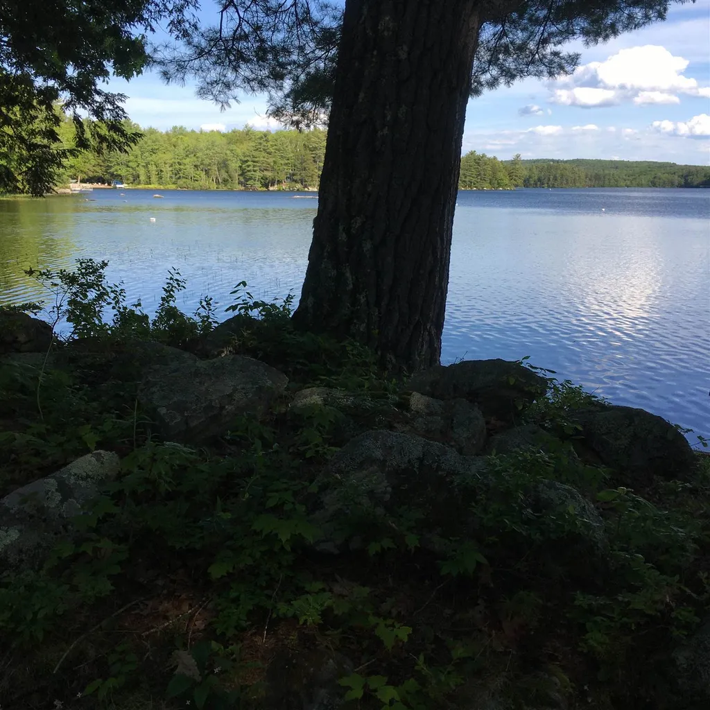 41 Mirror Lake Drive Tuftonboro NH 03816