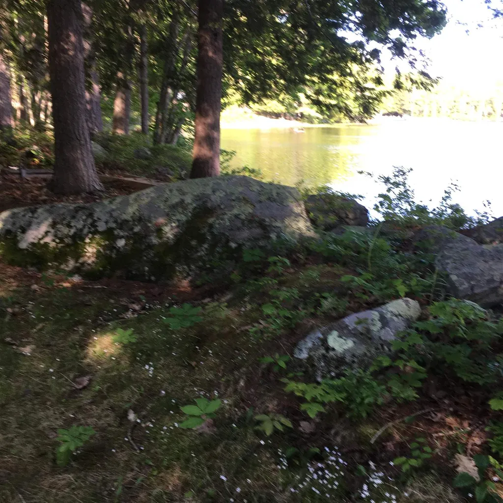 41 Mirror Lake Drive Tuftonboro NH 03816