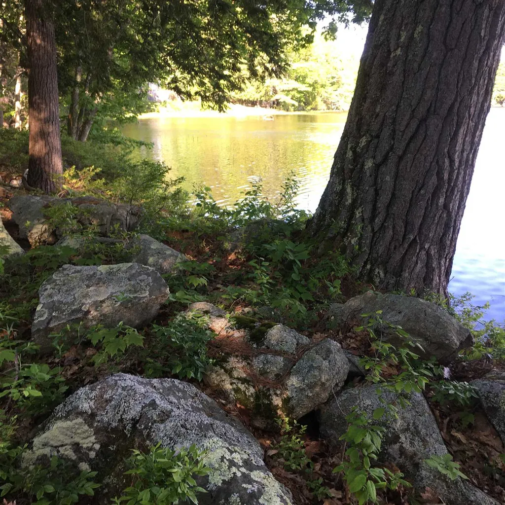 41 Mirror Lake Drive Tuftonboro NH 03816