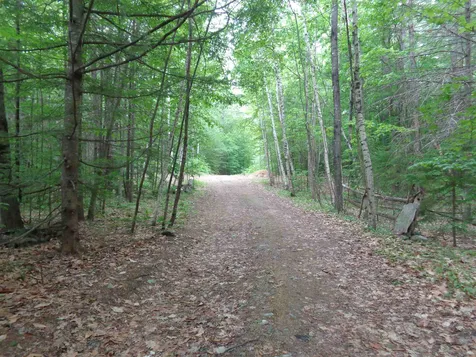 634 Murray Hill Road Hill NH 03243