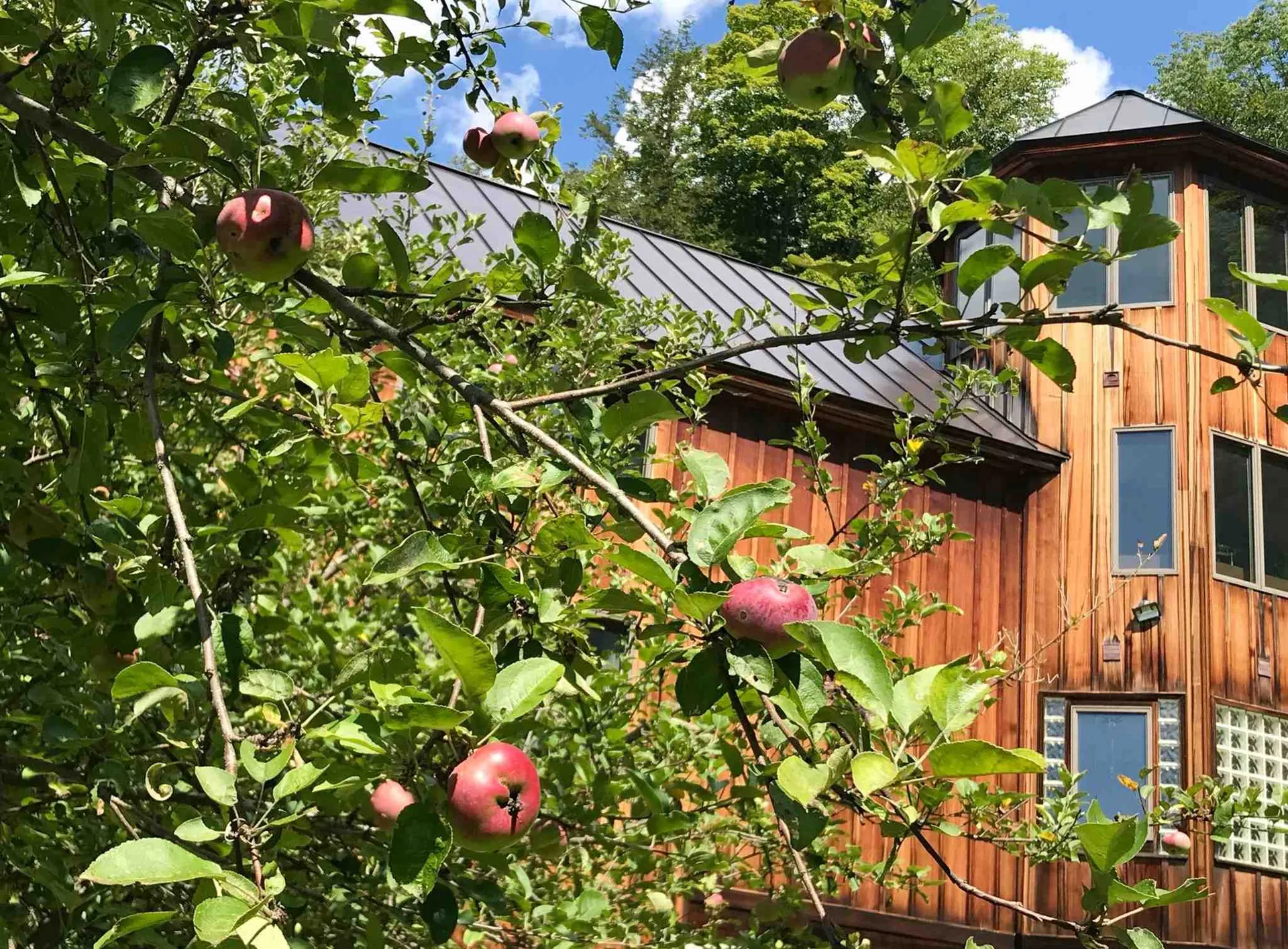 945 Riverside Park Road Woodstock VT 05091