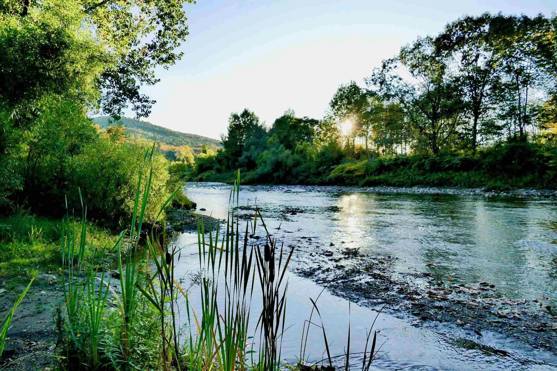 945 Riverside Park Road Woodstock VT 05091