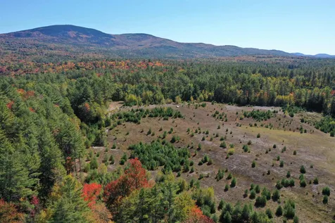 Lot 17,19,20 Pine Hill Road Wilmot NH 03287