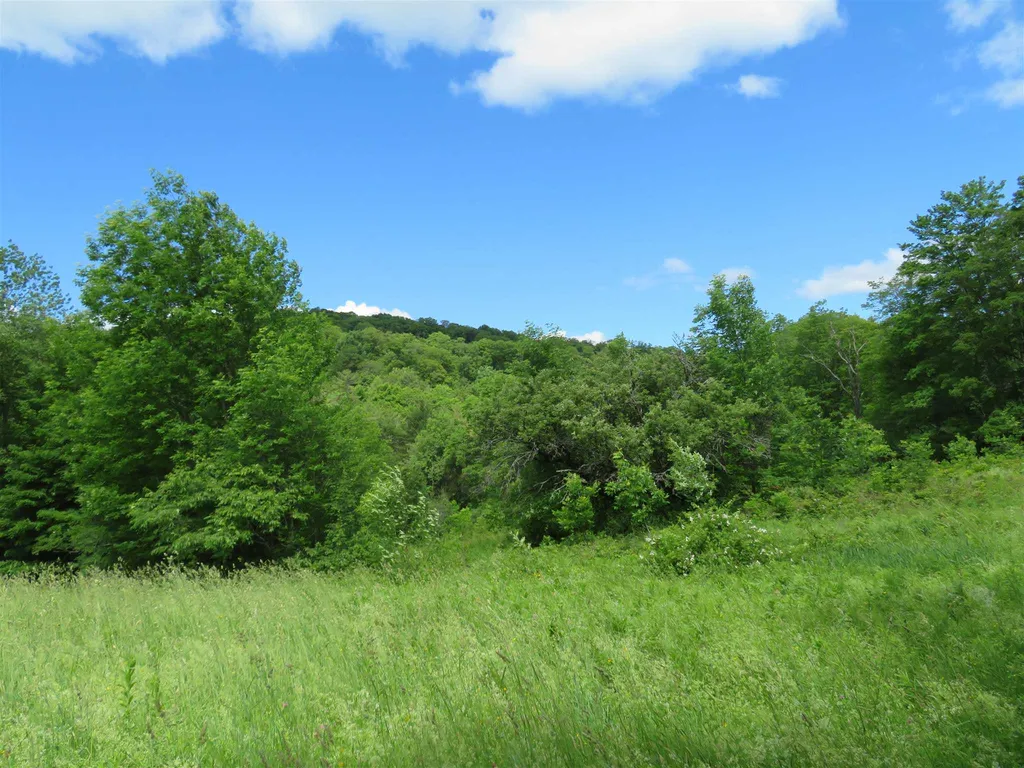 1787 Howe Hill Road Sharon VT 05065