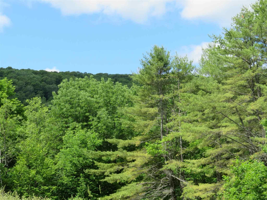 1787 Howe Hill Road Sharon VT 05065
