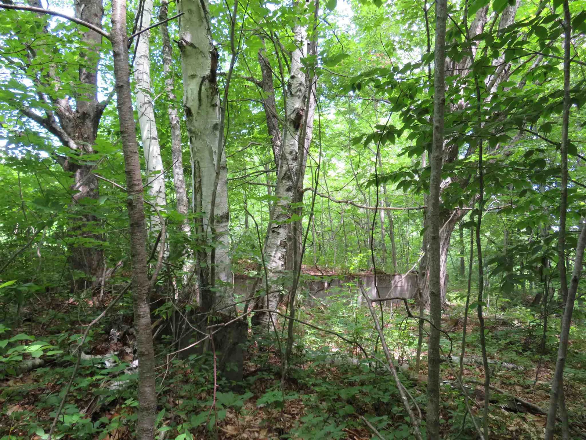 1787 Howe Hill Road Sharon VT 05065