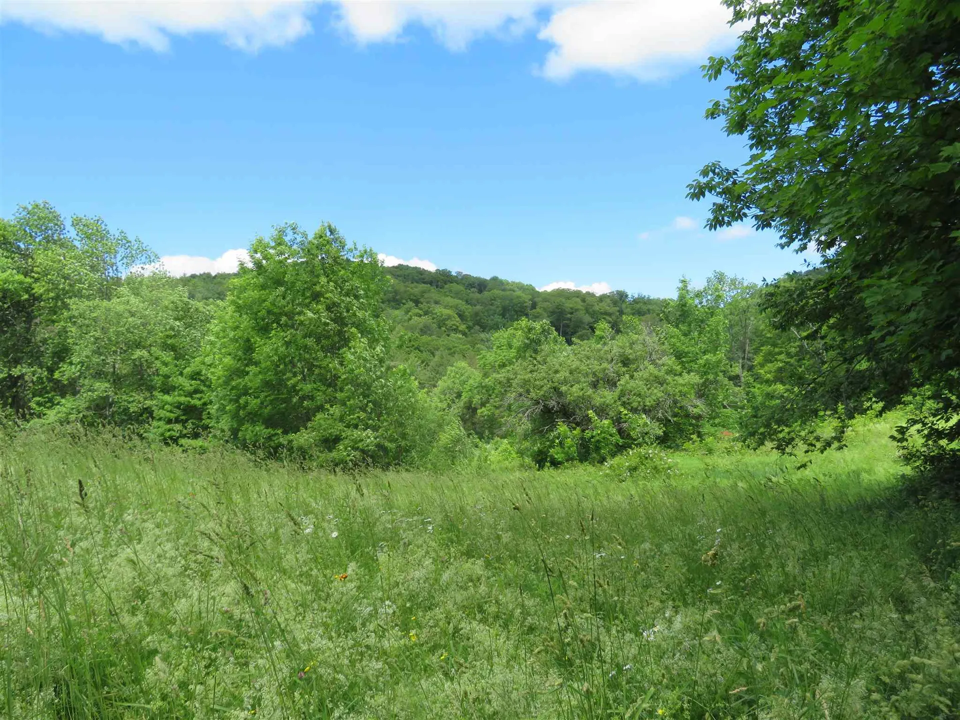 1787 Howe Hill Road Sharon VT 05065