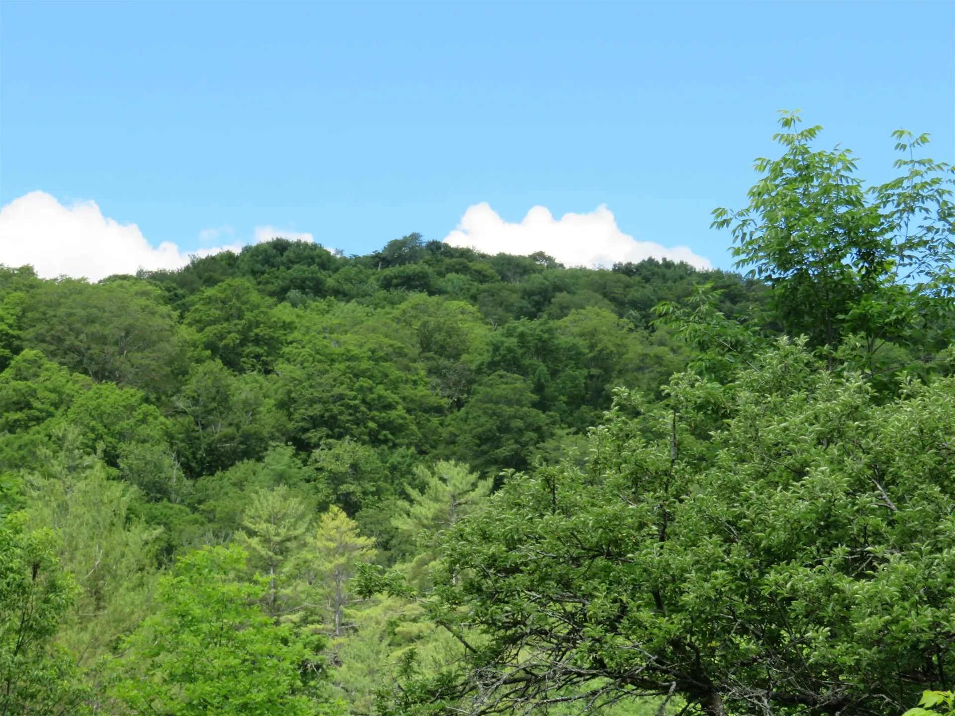 1787 Howe Hill Road Sharon VT 05065