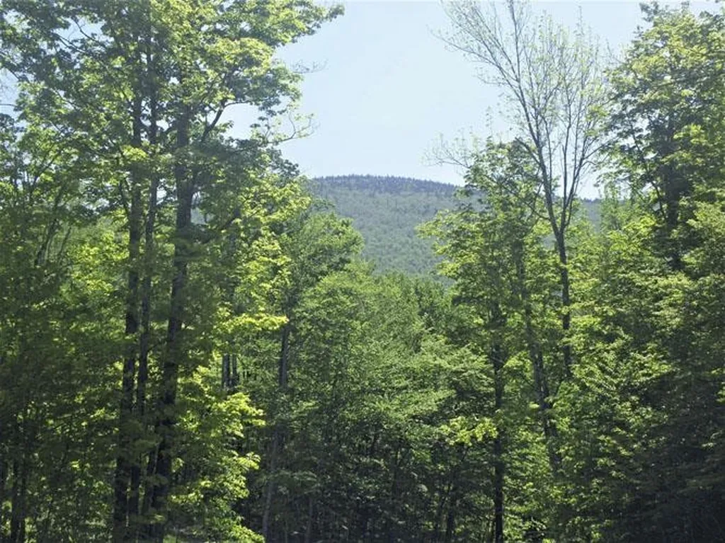 0 Plunkton Road Granville VT 05669