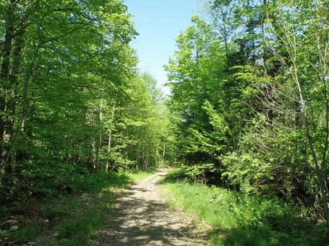 0 Plunkton Road Granville VT 05669