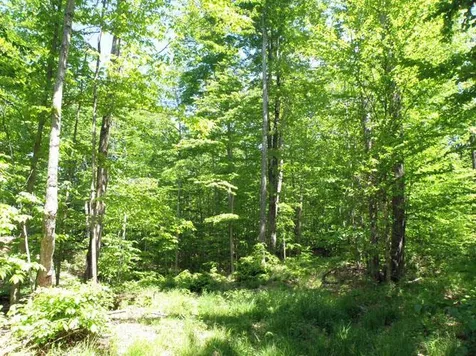 0 Plunkton Road Granville VT 05669