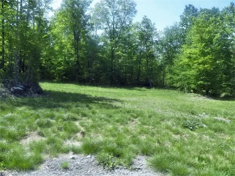 0 Plunkton Road Granville VT 05669