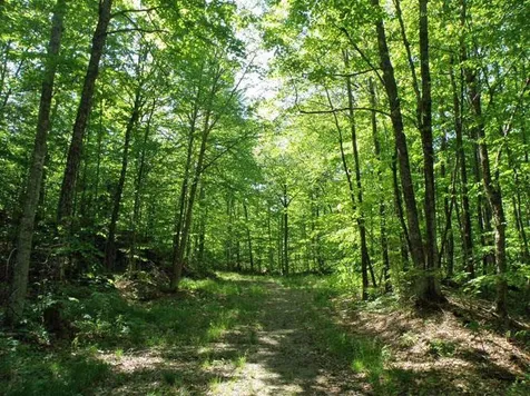0 Plunkton Road Granville VT 05669