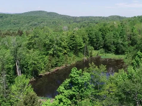 0 Plunkton Road Granville VT 05669
