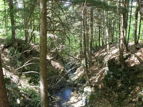 0 Plunkton Road Granville VT 05669