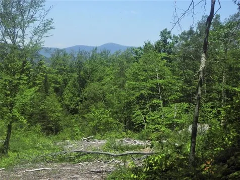 0 Plunkton Road Granville VT 05669