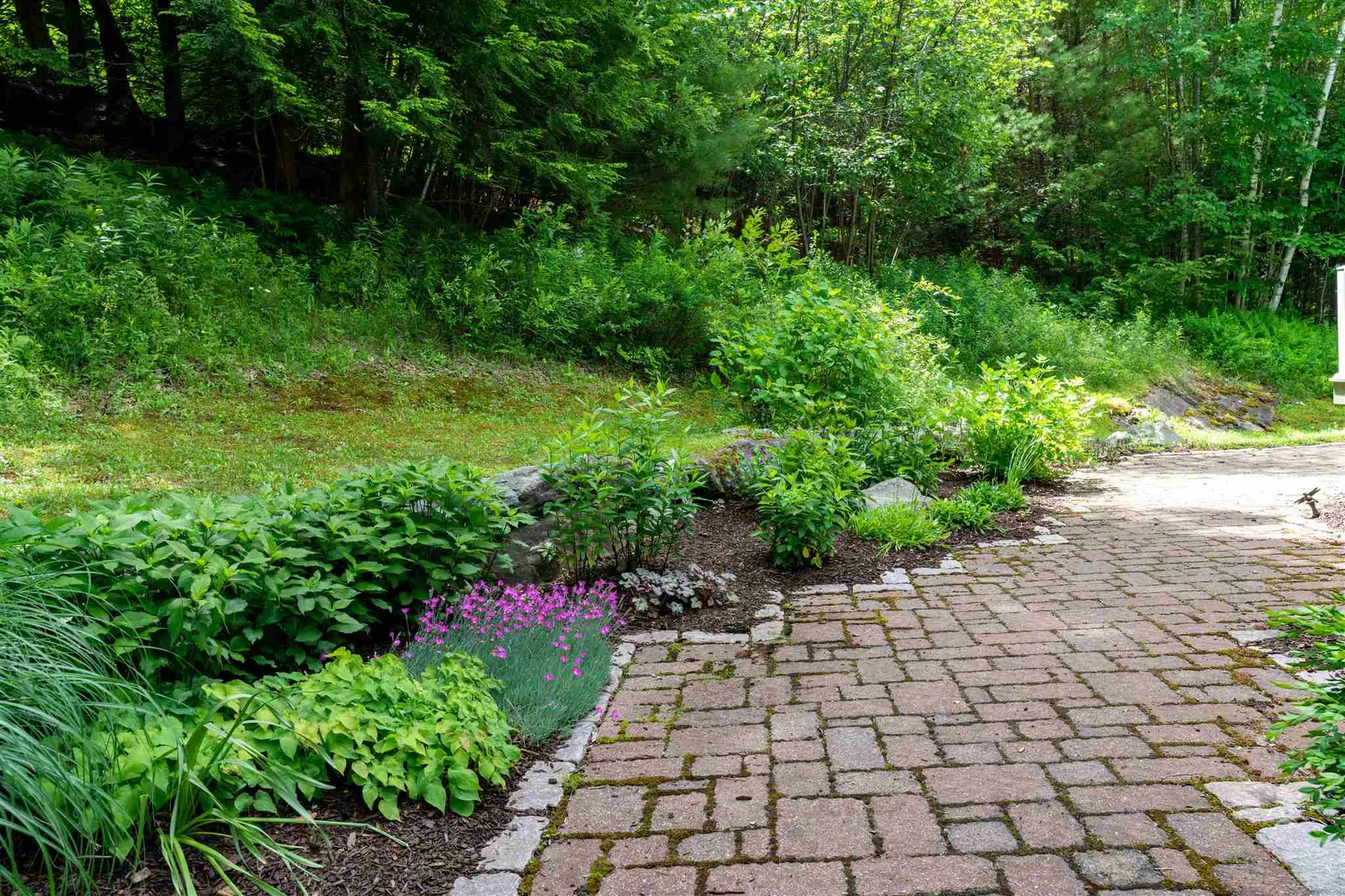 195 North Pinnacle Ridge Road Waterbury VT 05676