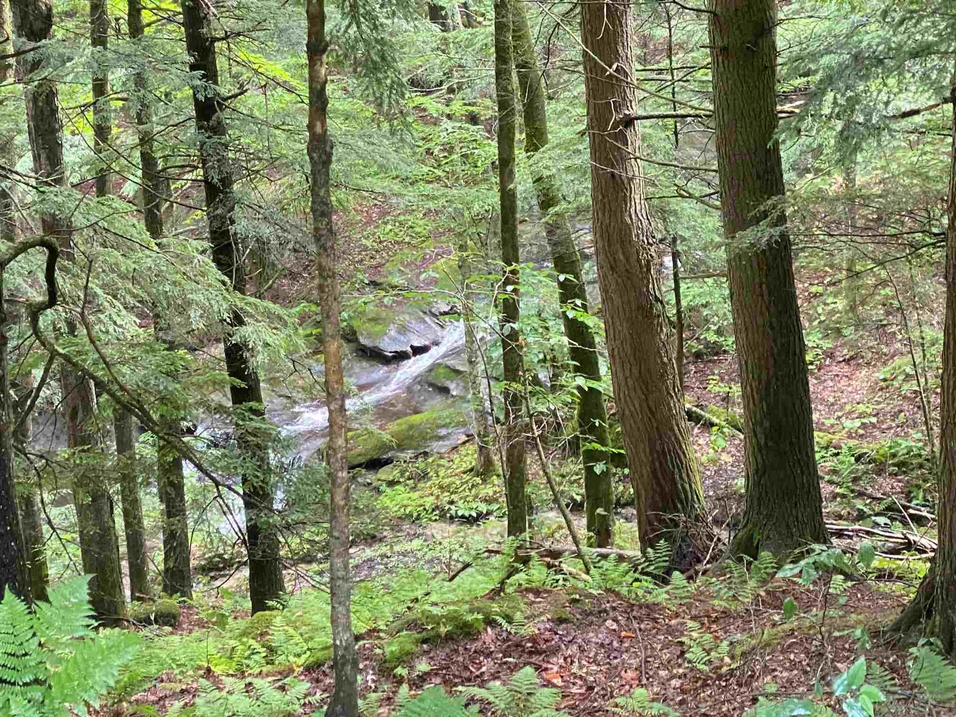 163 Weaver Road Huntington VT 05462