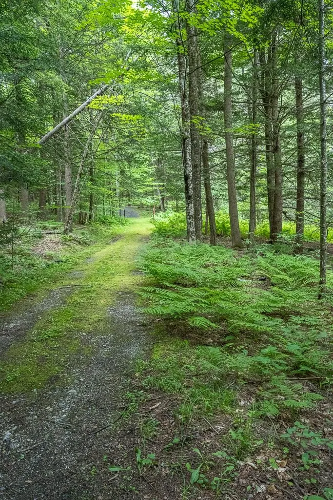 1111 Randall Road Woodstock VT 05091