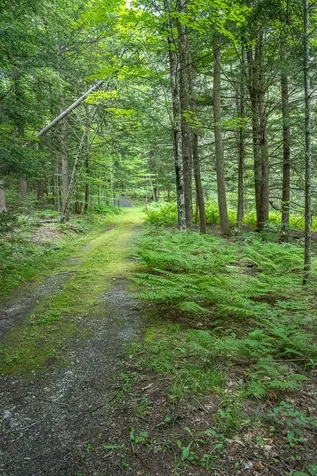 1111 Randall Road Woodstock VT 05091