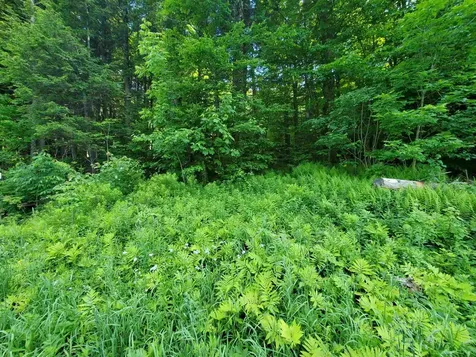 4 Murdock Lane Whitingham VT 05361