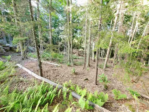 4 Murdock Lane Whitingham VT 05361