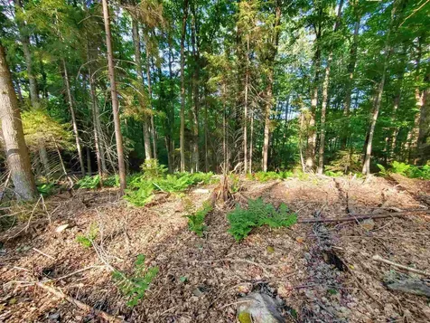 4 Murdock Lane Whitingham VT 05361