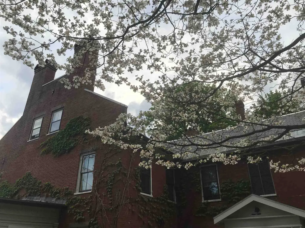 11 Chestnut Street Exeter NH 03833