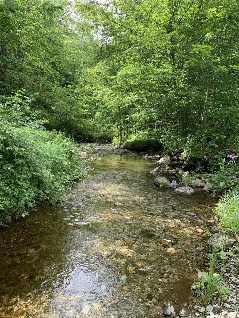 Vt Route 315 Rupert VT 05768