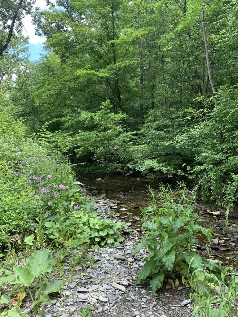 Vt Route 315 Rupert VT 05768