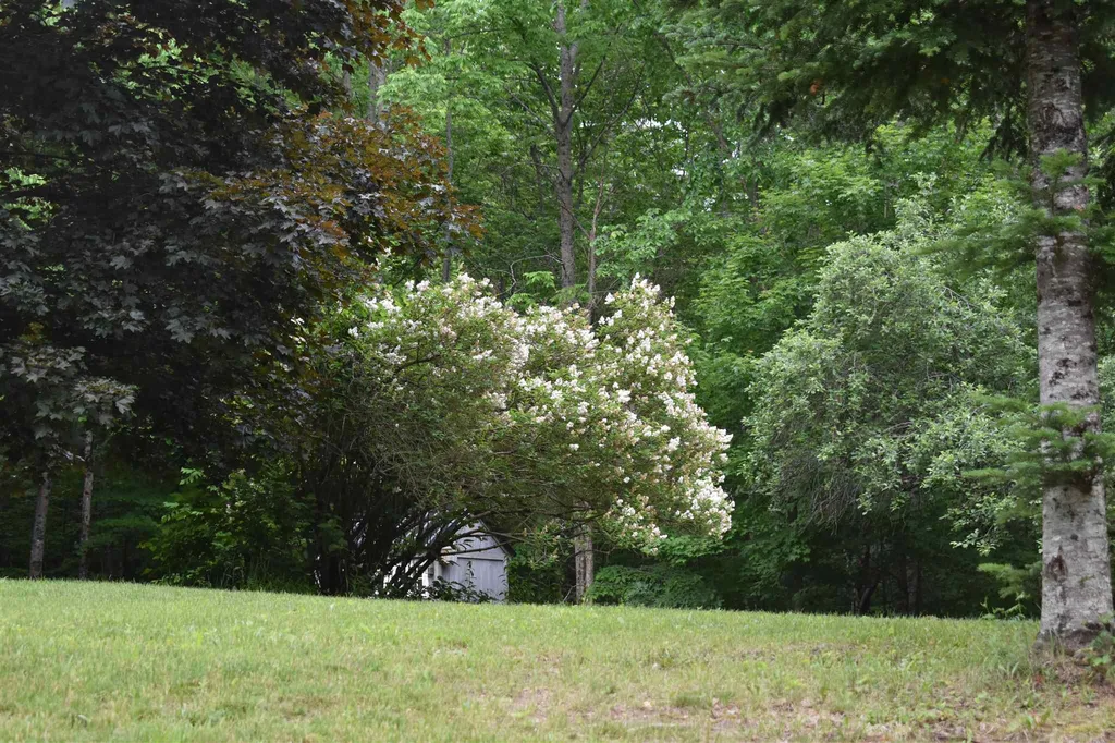 194 Ibey Road Enfield NH 03748